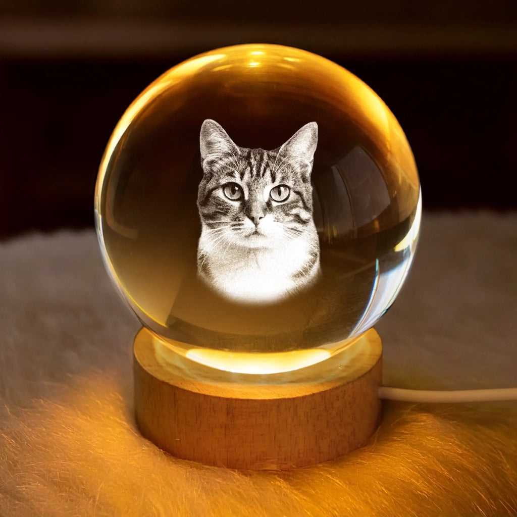 Custom Photo Crystal Globe Lamp
